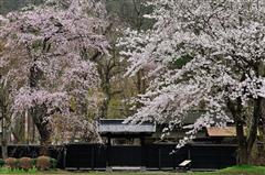 �y�G�[�XJTB�E�������s�z�H�c�c�A�[�E�H�c�̗��فE�z�e���\��@